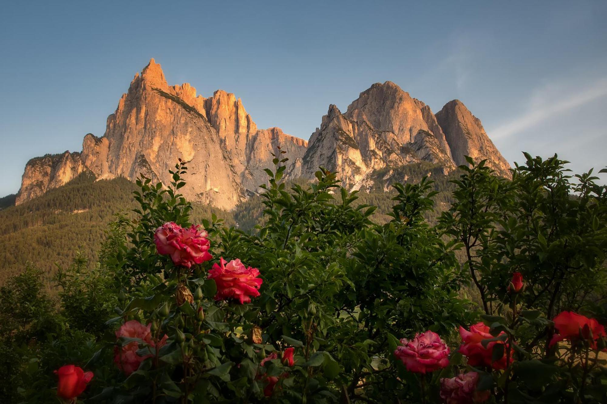 Villa Peterlungerhof Siusi Esterno foto
